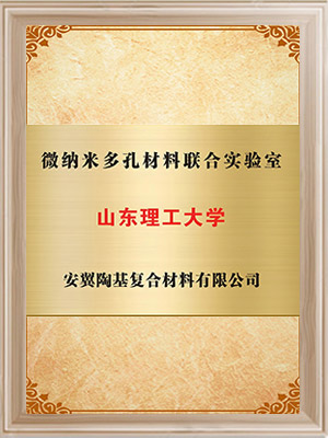 山东理工大学-微纳米多孔材料联合实验室
