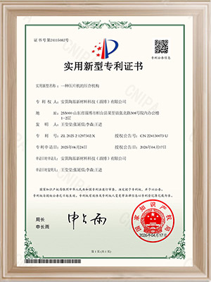 安翼淄博-一种压片机的压合机构-实用新型专利